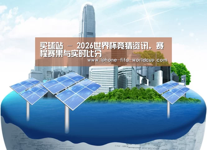买球站公司