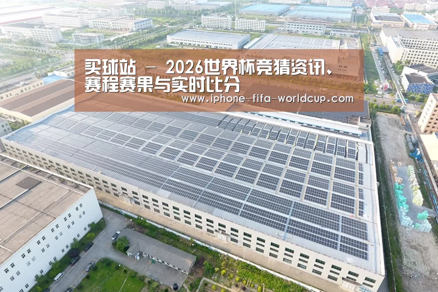 案例展示一