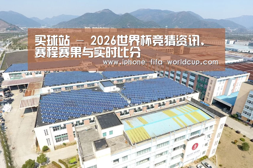 案例展示二