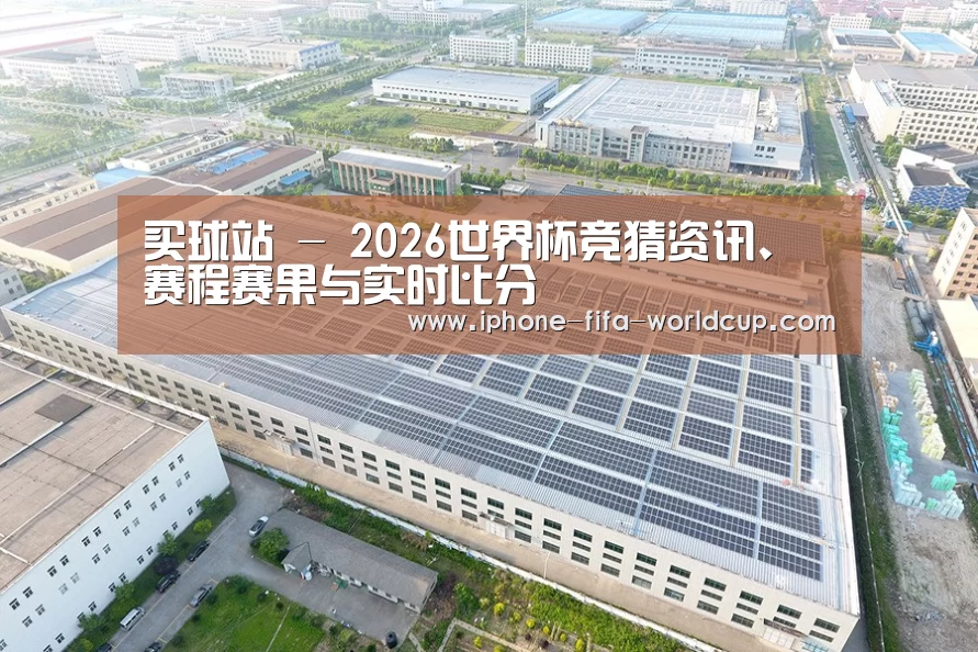 案例展示三