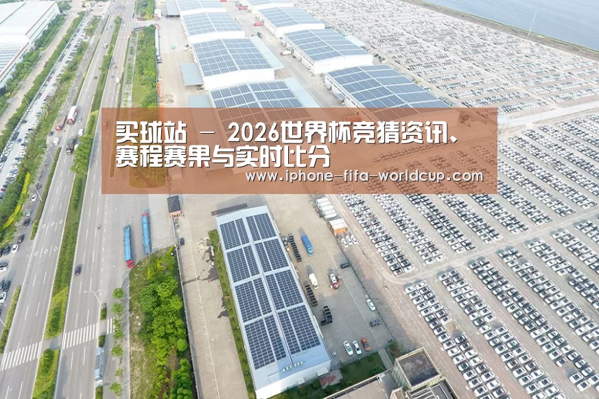 案例展示四